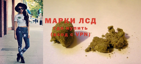 крисы Инта