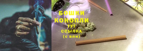 индика Арсеньев