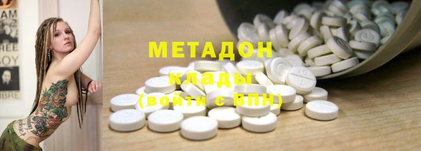 индика Арсеньев