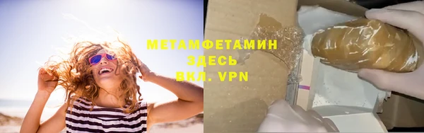 индика Арсеньев