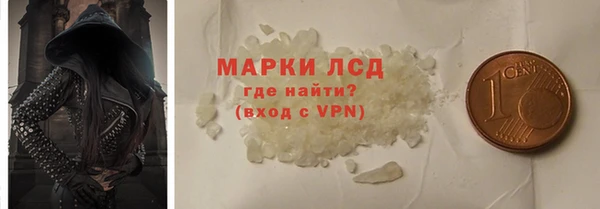 индика Арсеньев