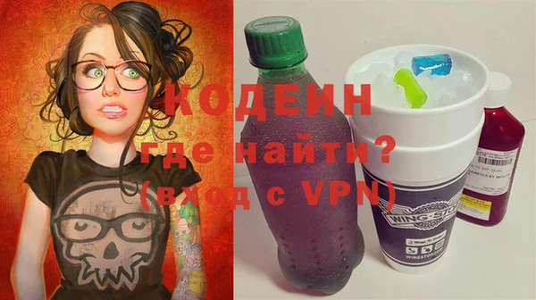 индика Арсеньев
