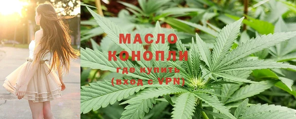 индика Арсеньев