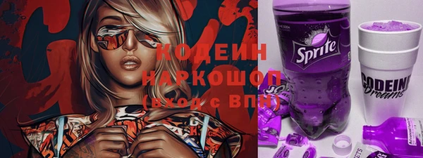 индика Арсеньев