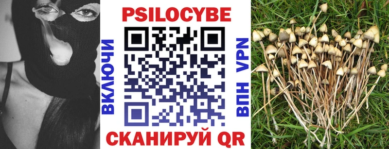 купить наркотики цена  сайты даркнета формула  mega онион  Псилоцибиновые грибы мицелий  Полевской 